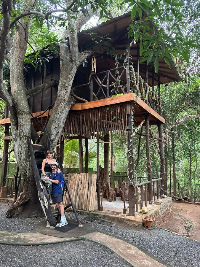 Green Park Safari House & Eco Tree House Удавалаве Екстер'єр фото