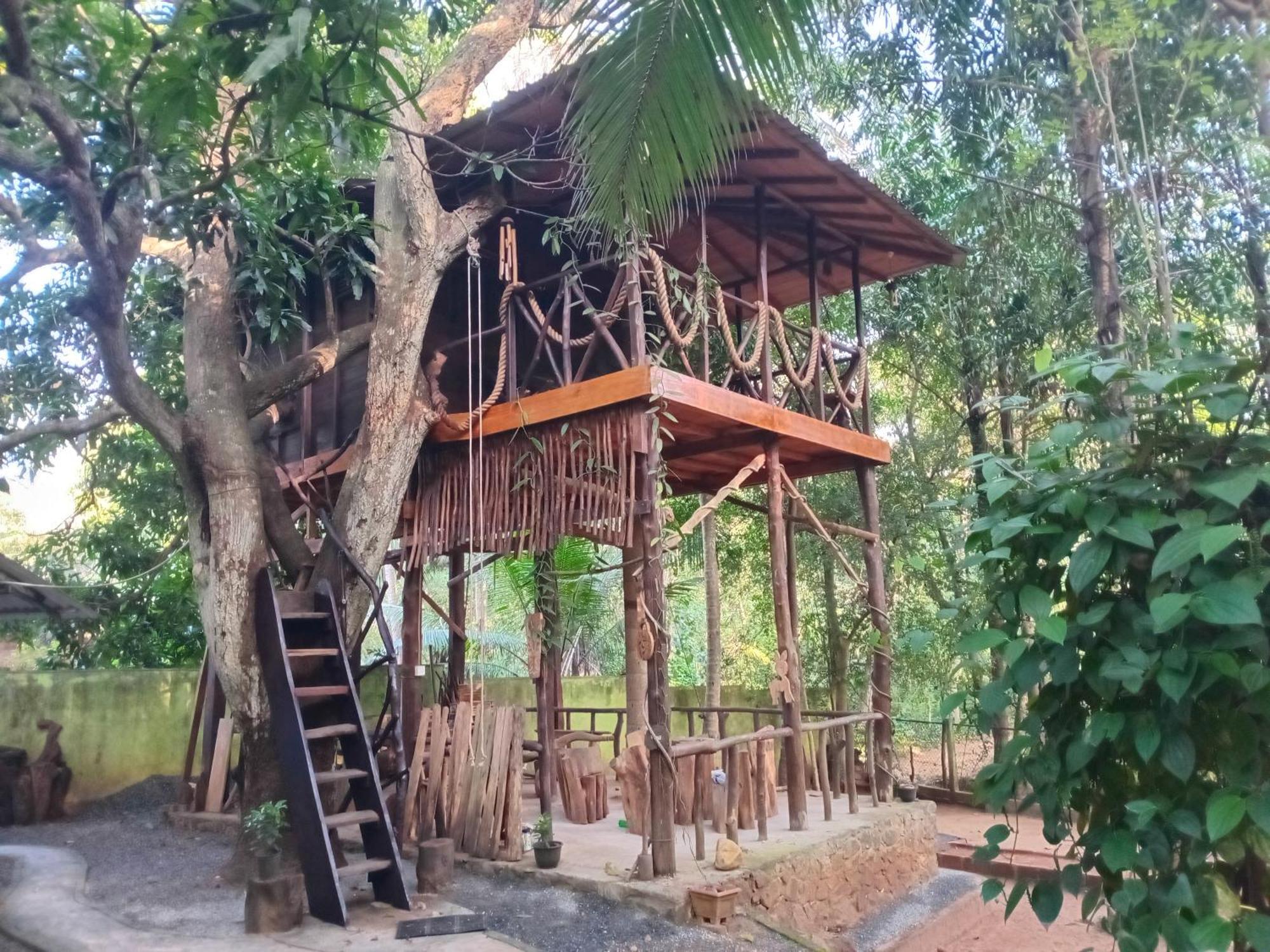 Green Park Safari House & Eco Tree House Удавалаве Екстер'єр фото